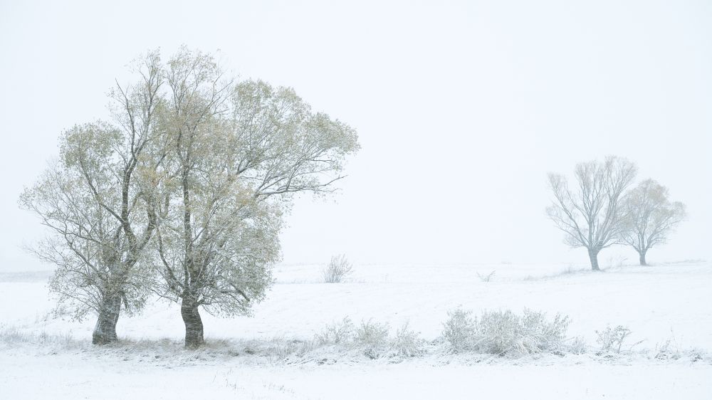 Photograph by Alexandru Pavel