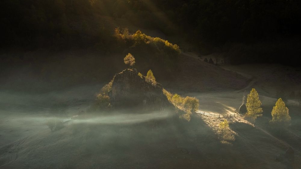 Photograph by Cristea Dana