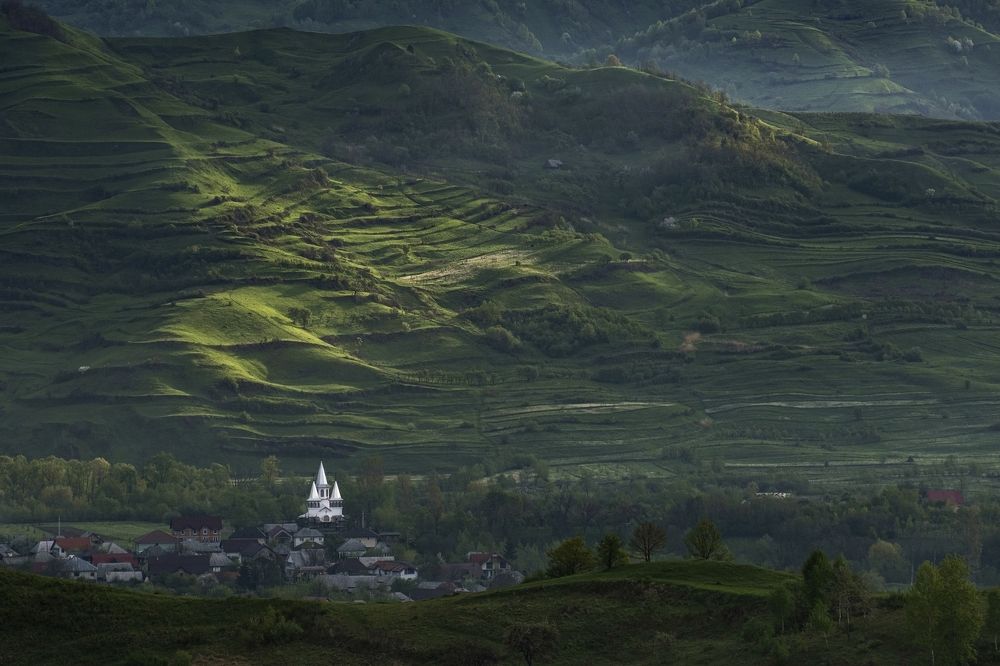 Photograph by Cristea Dana