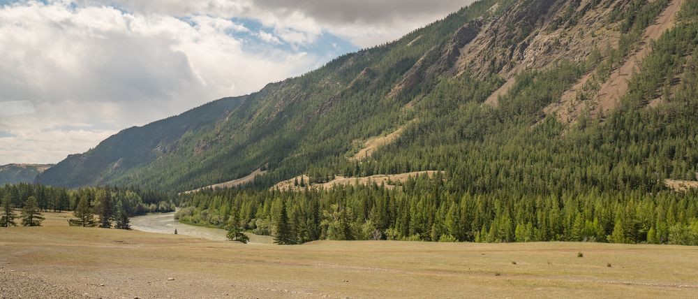 Панорамы Алтая