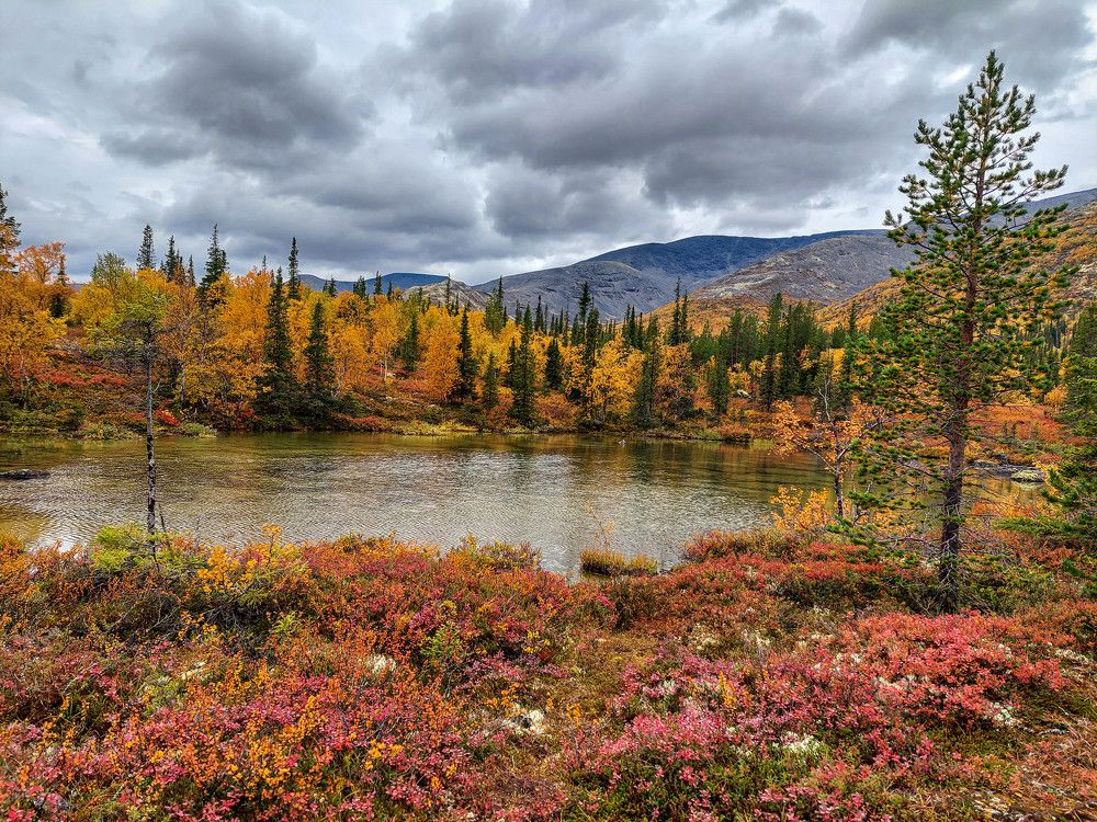 Photograph by Vladimir Bragilevsky