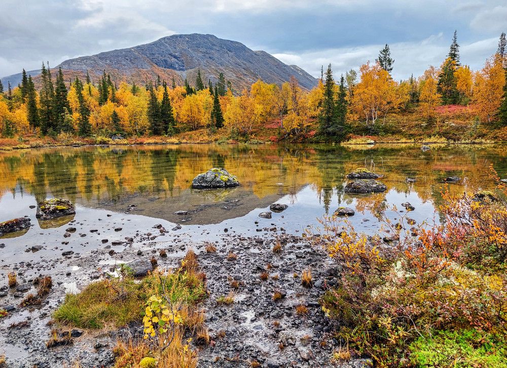 Photograph by Vladimir Bragilevsky