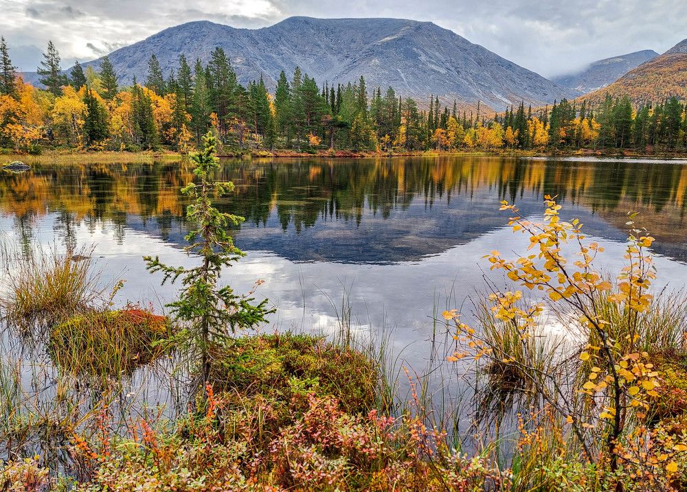 Photograph by Vladimir Bragilevsky