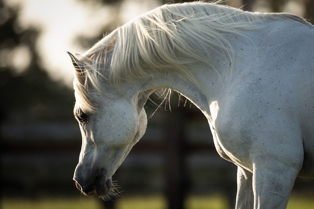 Photograph by Julia Dohmen