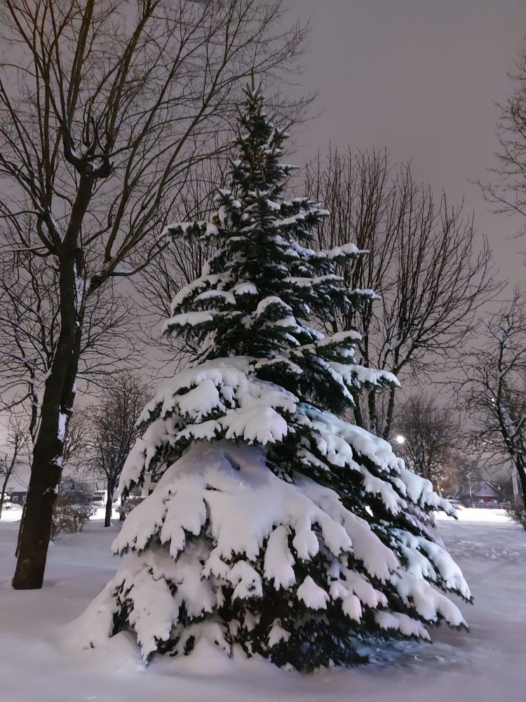 Photograph by ЭЛЬМИРА  ИСМАИЛОВА