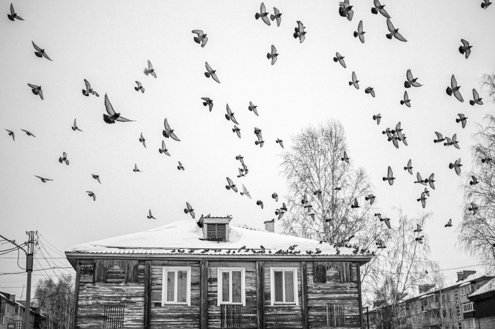 Pobedy Street, Lesosibirsk, 2024