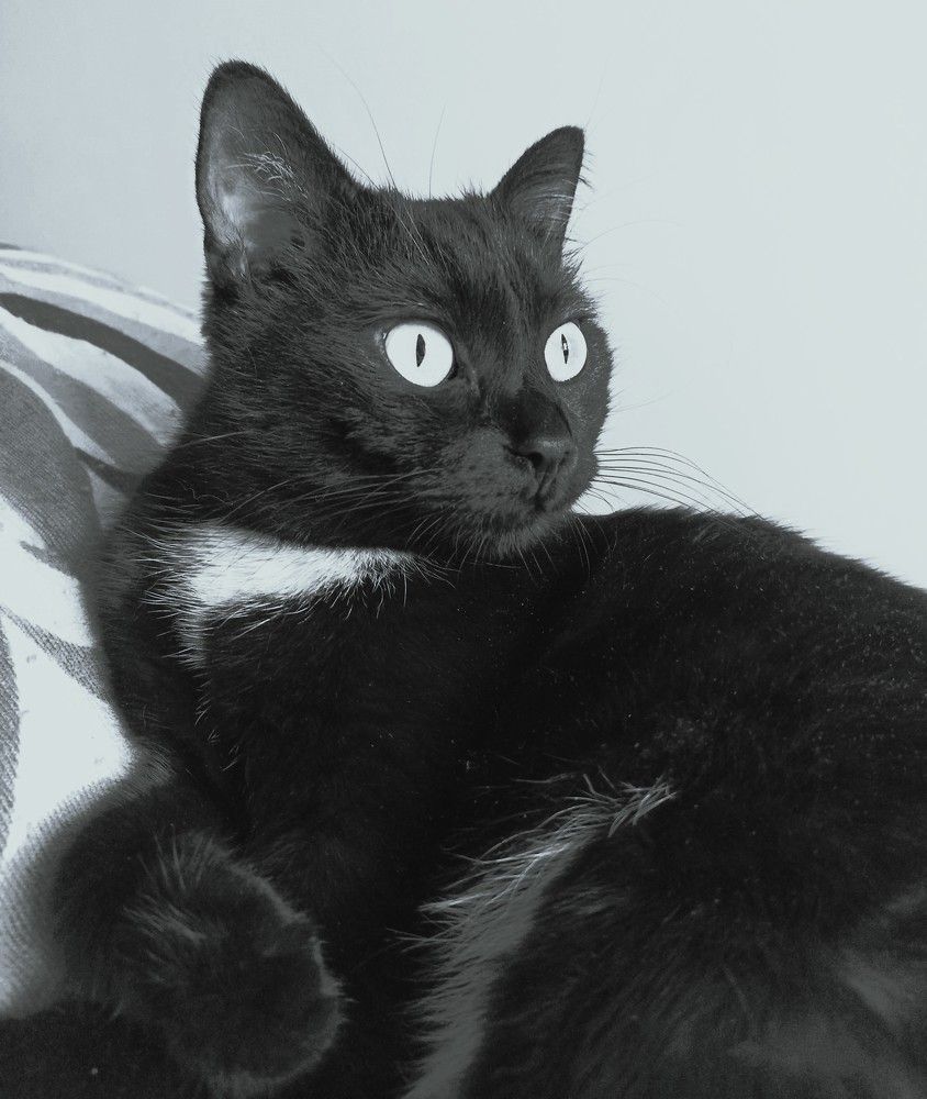 Photograph by Алия Байсыкова