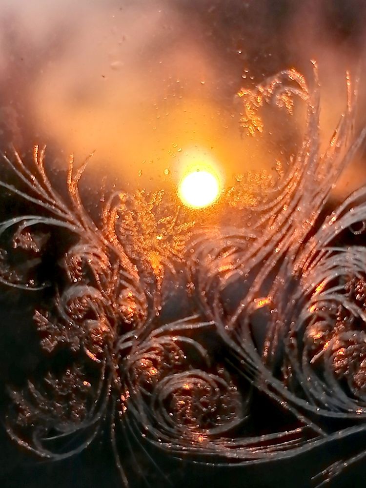 Морозный закат