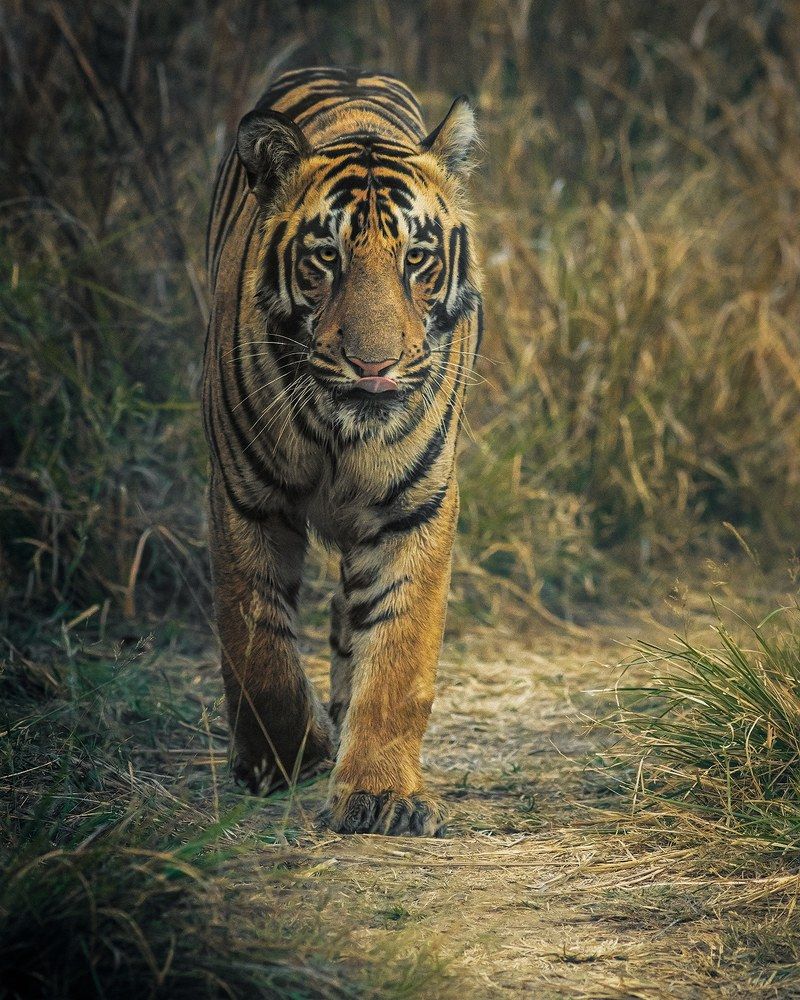 Photograph by Satadru Mondal