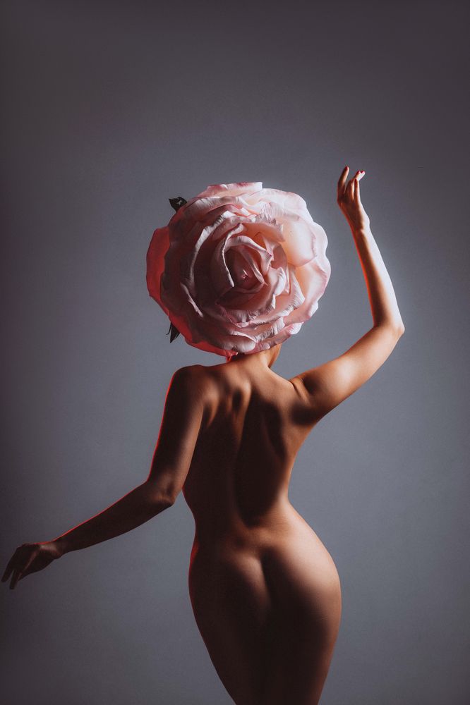 Фотография автора Анастасия Шипилова