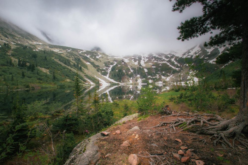 Photograph by Александр Жариков