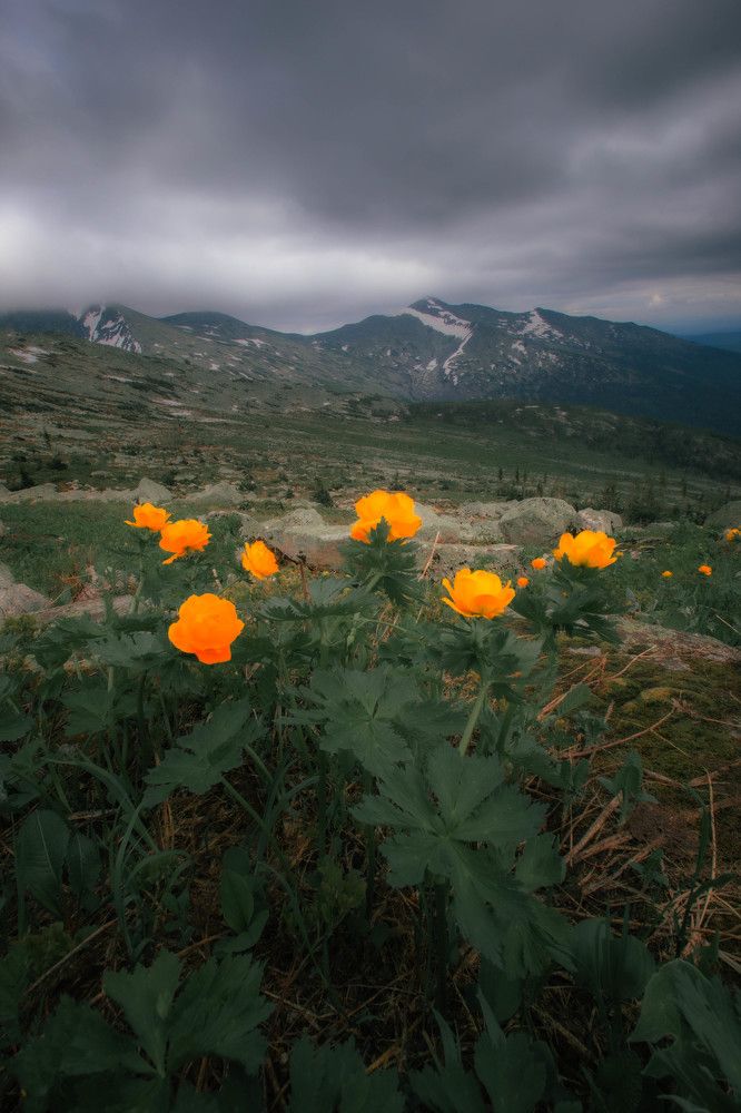 Photograph by Александр Жариков