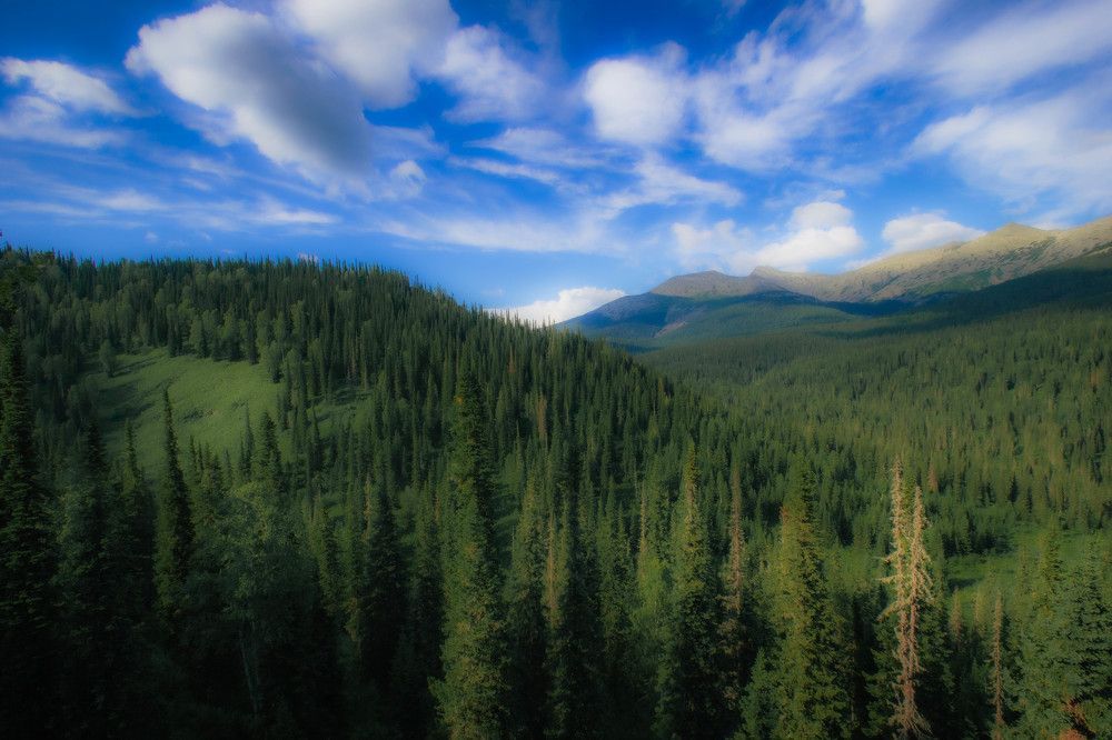 Photograph by Александр Жариков