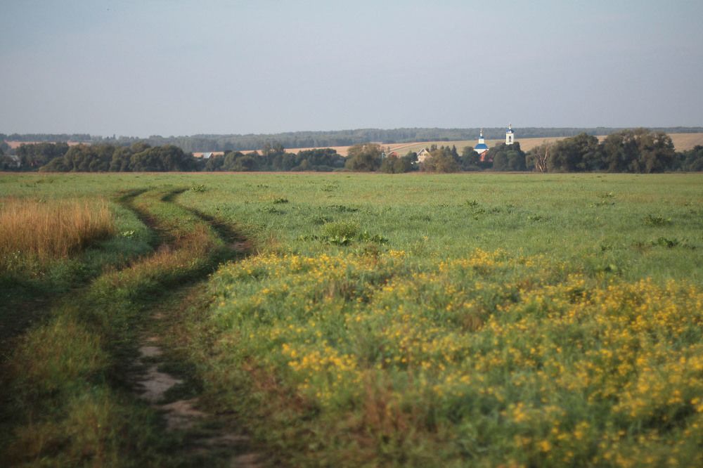 Следы к реке