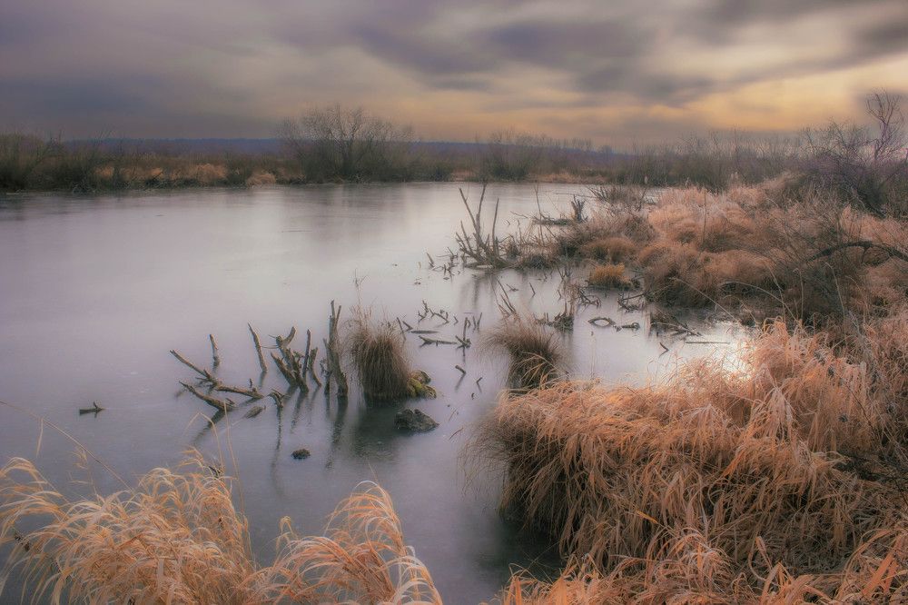 Photograph by Александр Жариков