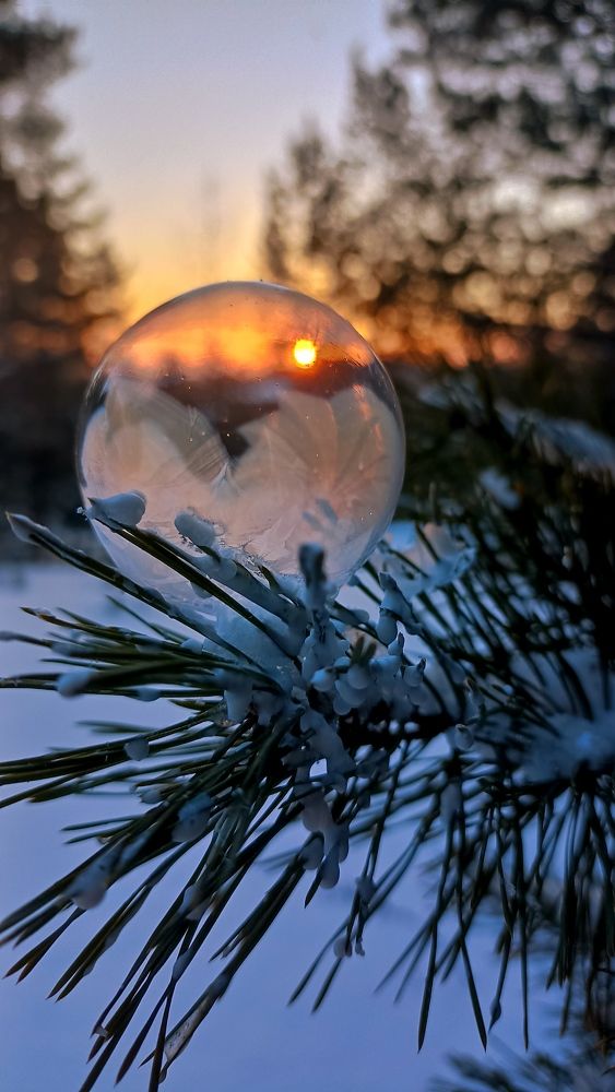 Мыльные пузыри в закате.