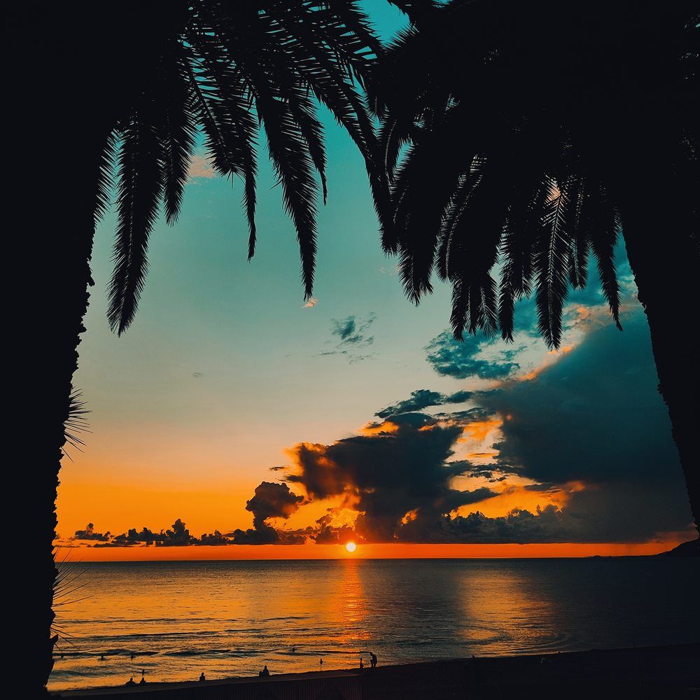 Photograph by Никита