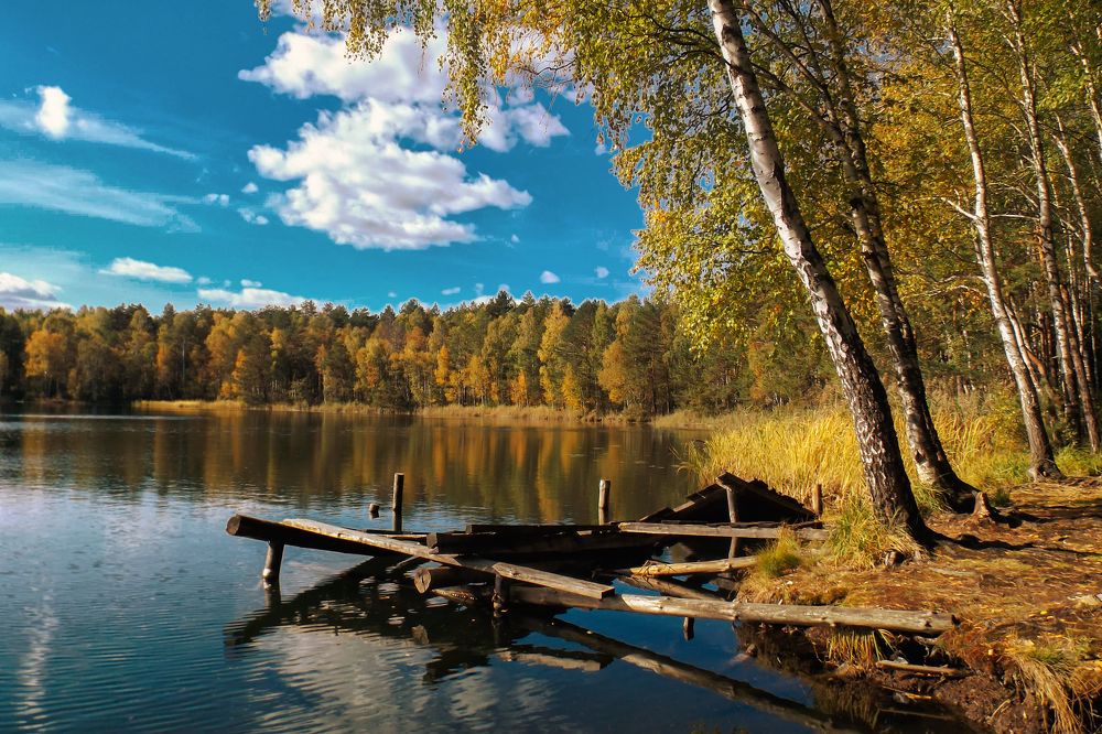 Фотография автора Oleg Podlesnykh