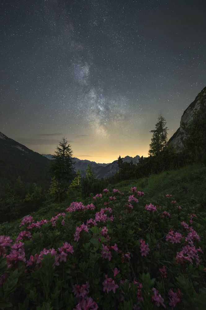 Photograph by Herve Rannu