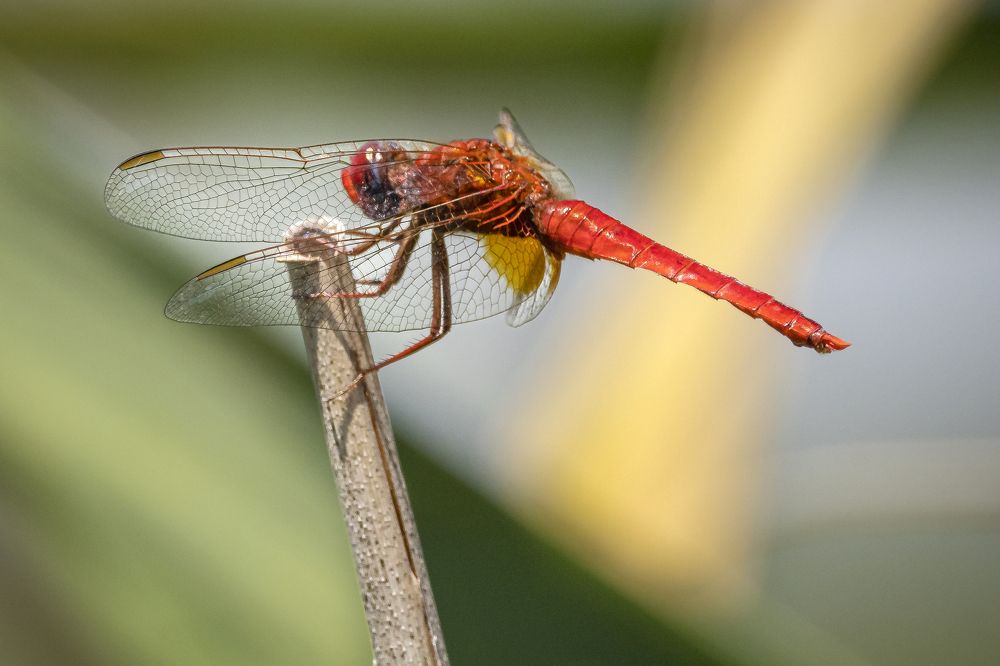 Photograph by Stamen Sotirov