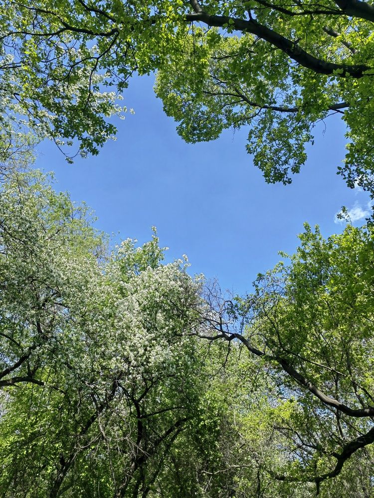 Photograph by Михаил Денисенко