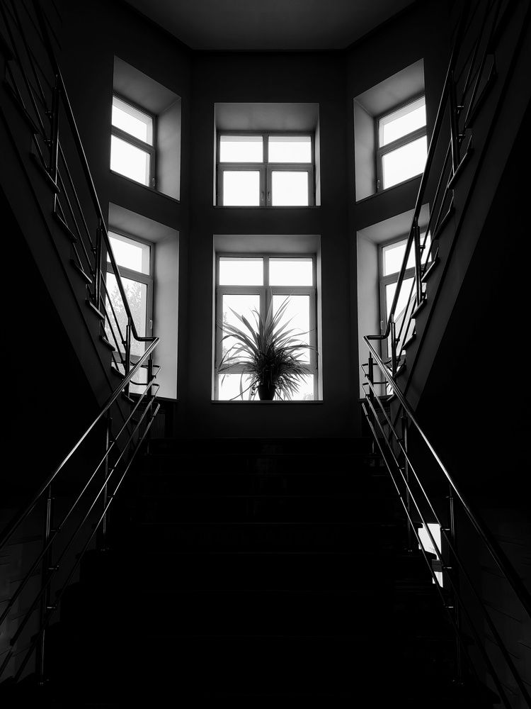 Photograph by Михаил Денисенко