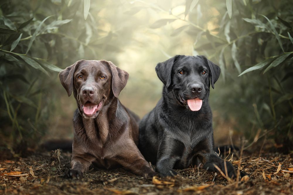 Фотография автора Ana Sánchez