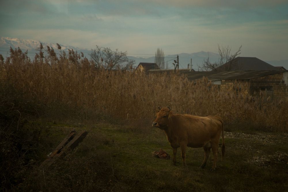Photograph by Левин Арсений Андреевич