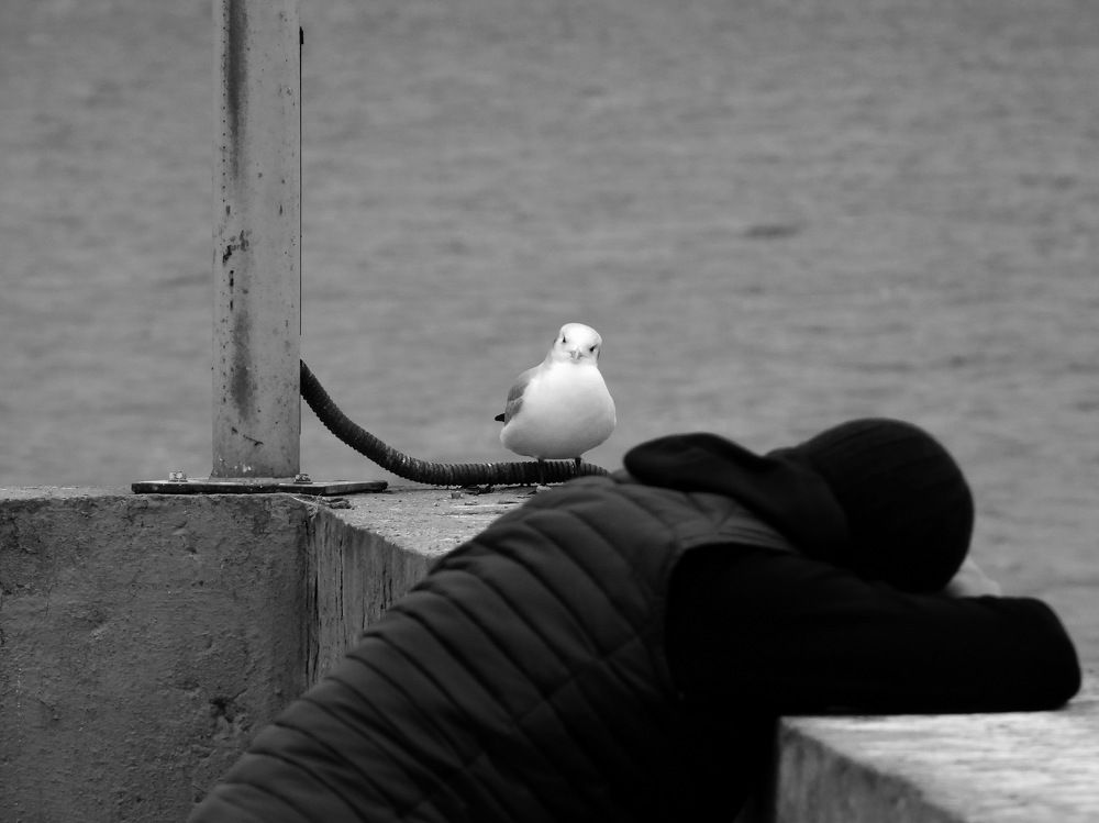 Photograph by Дмитрий Дрозд