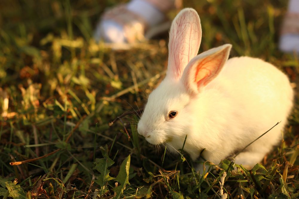 Photograph by Мария Петухова