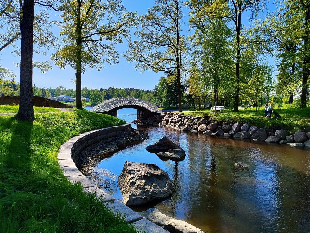 Фотография автора Татьяна Иванова