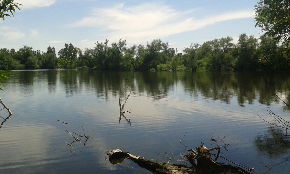 Photograph by Татьяна Чечулина