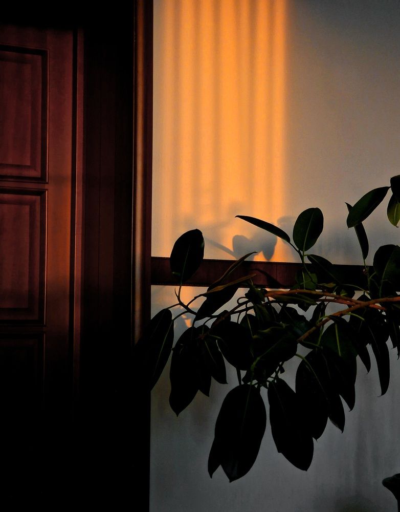 Photograph by Полина Галянина