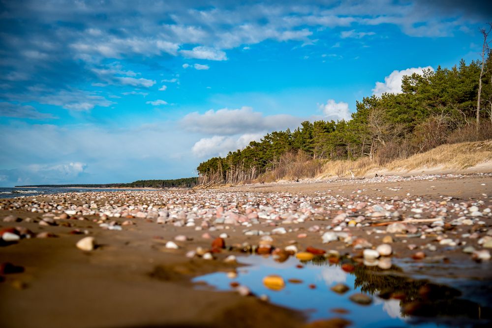 Photograph by Андрей Масайтис
