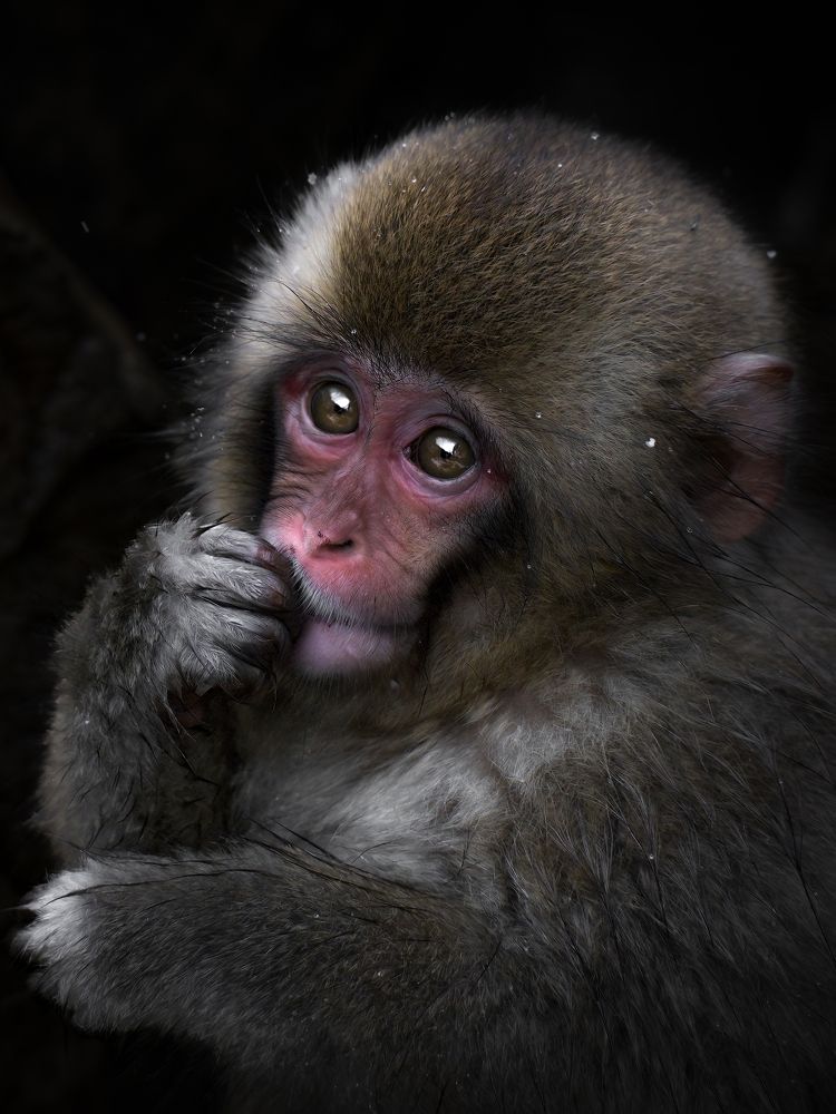 Photograph by Hiroki Matsubara