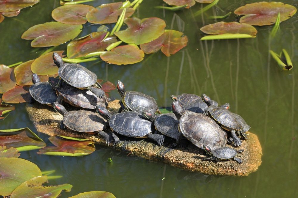 Photograph by Galina Tsmyg