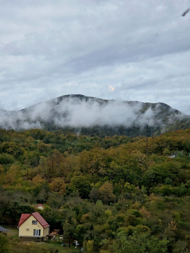 Photograph by Полина Галянина