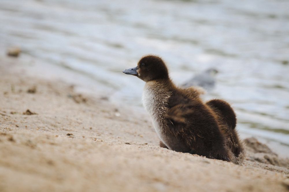 Photograph by Вася Кадочников