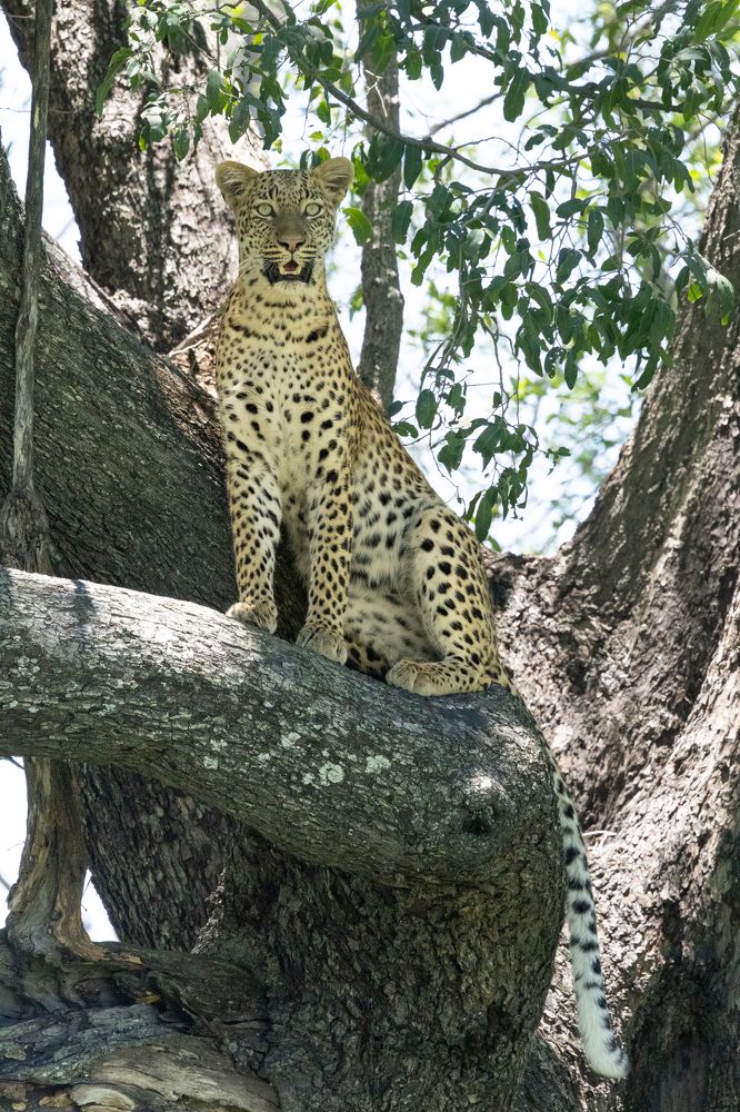 Photograph by Raquel Barao