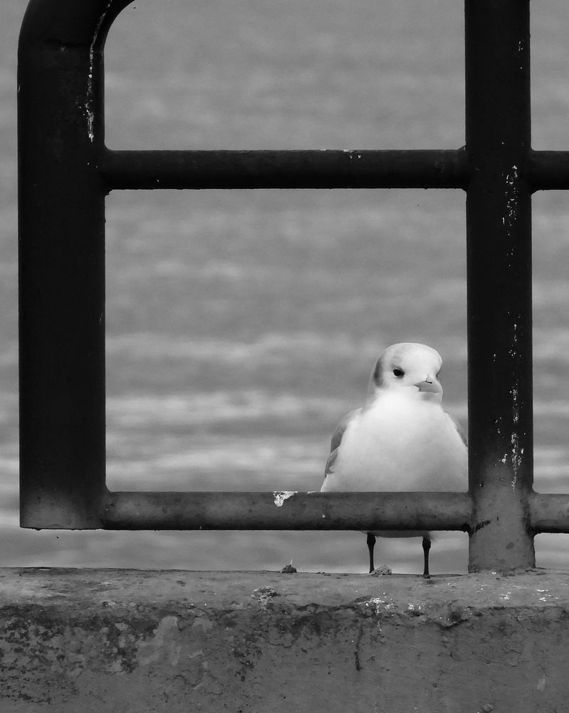 Photograph by Дмитрий Дрозд