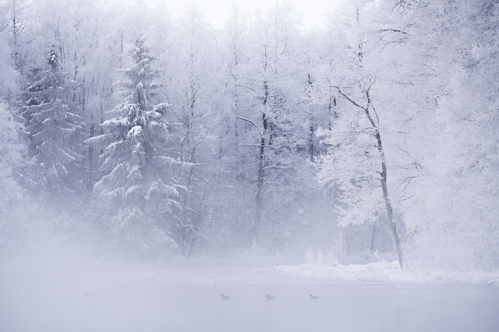 Photograph by Herve Rannu