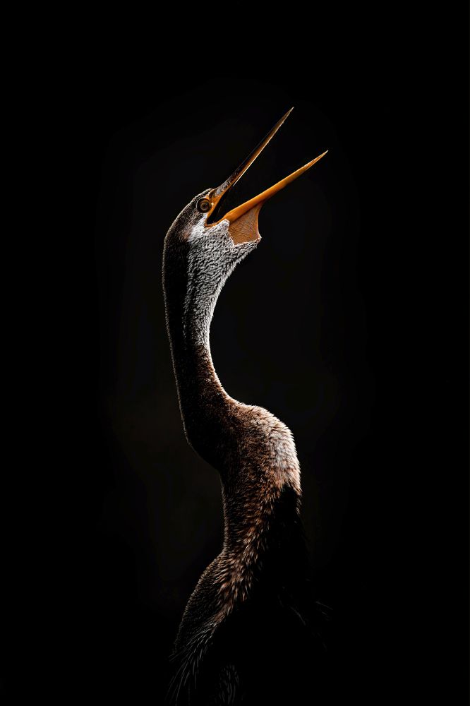 Photograph by Sharad Mansharamani