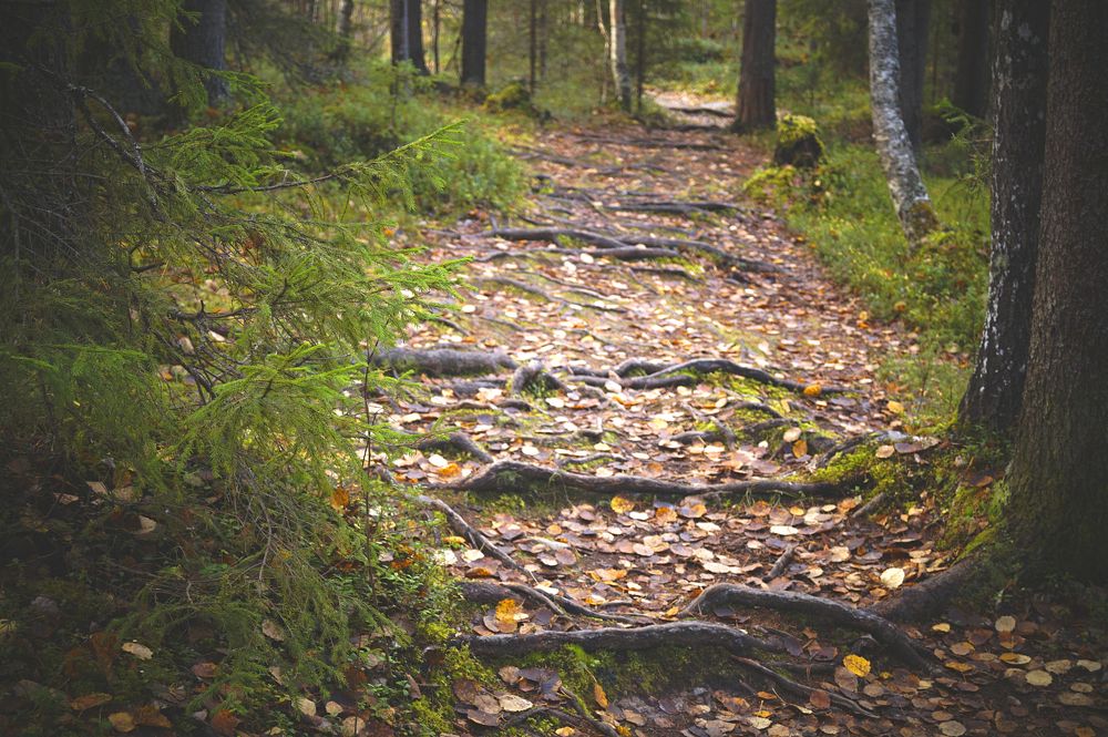 Photograph by Татьяна Бешенкина