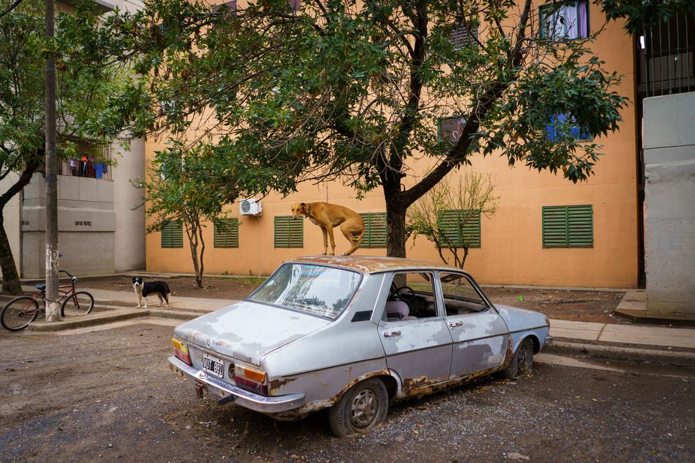 Photograph by Patricio Murphy