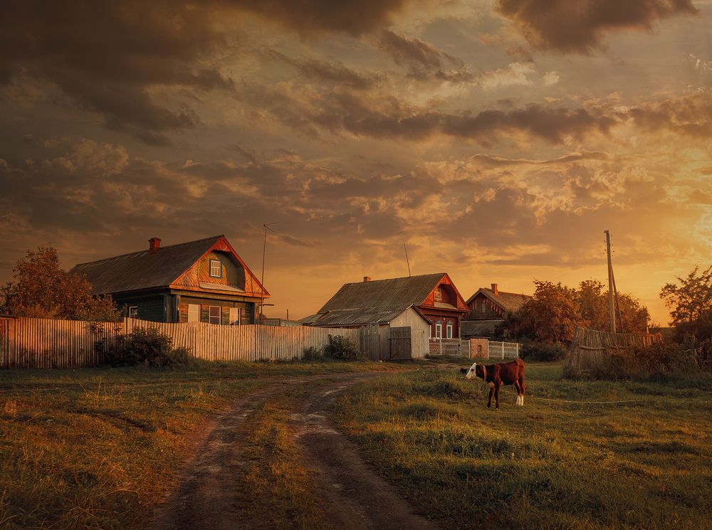 Photograph by Юлия Онучина