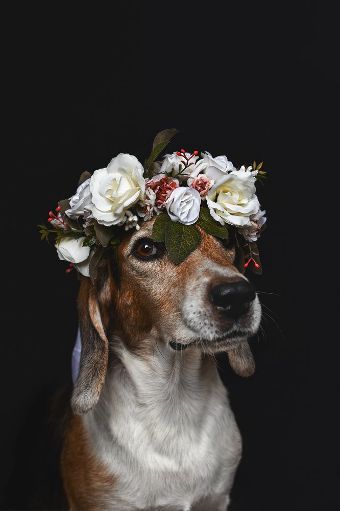 Фотография автора Мария Семенова