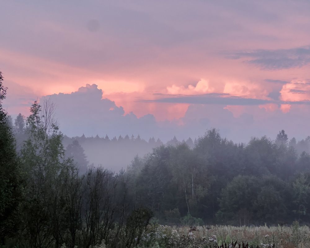 Photograph by Анна Теплицкая