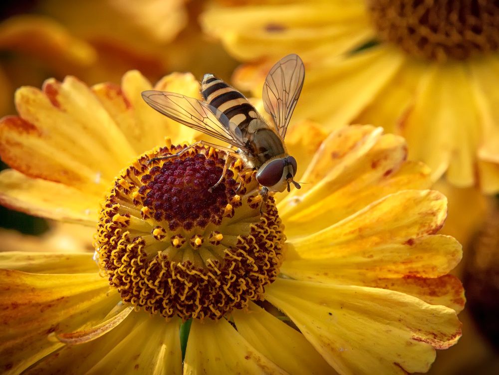 Photograph by Владимир Архипов