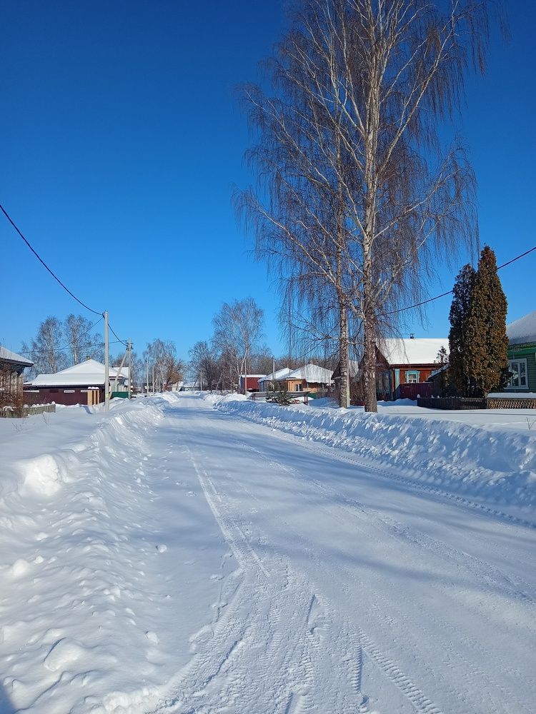 Photo #10305962