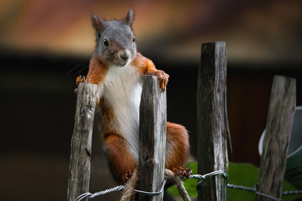 Photograph by Lance Chennault